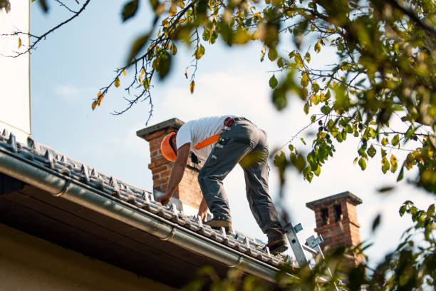 Best Storm Damage Roof Repair  in Waurika, OK